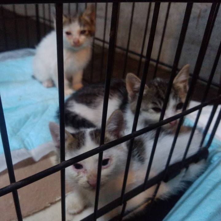 C62b52cc 7d19 4f87 8ec0 b7d032ceb545 1725896066299