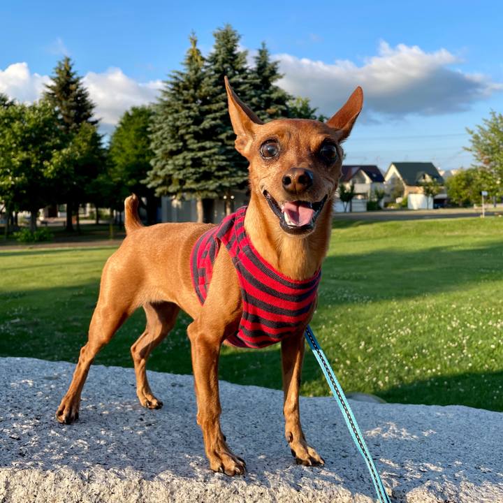 C62b67c6 594f 43e5 b9a8 a9705fd598bf 1656668952917