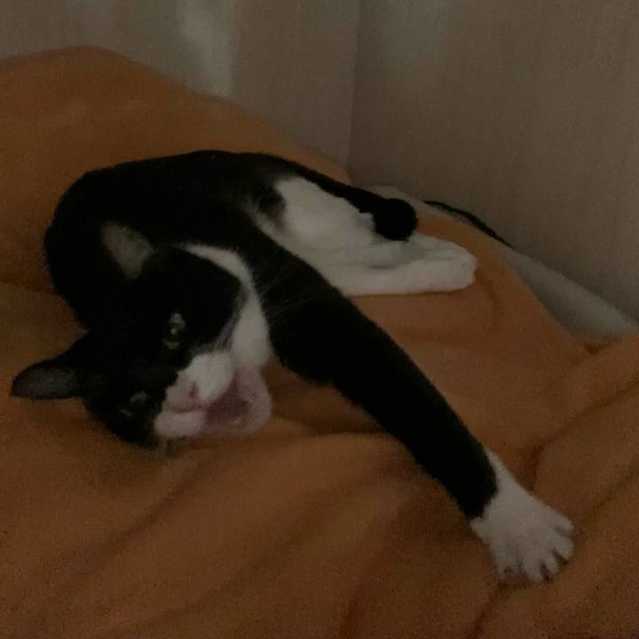 C62b7df4 90d9 4bc2 a1e8 7fc45ba74cbe 1654844743523