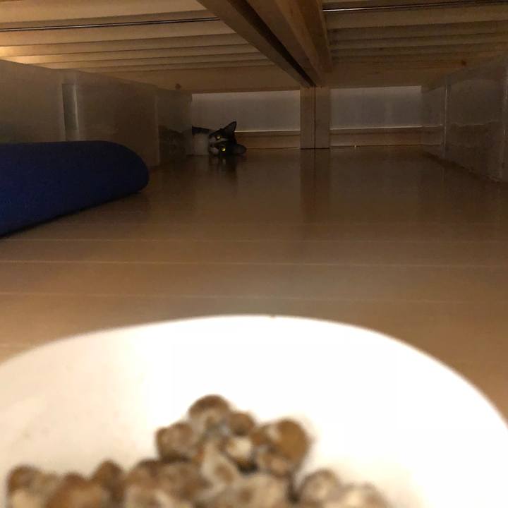 C62be1ab af25 4ac1 b0aa 2fd382d7f438 1535644686145