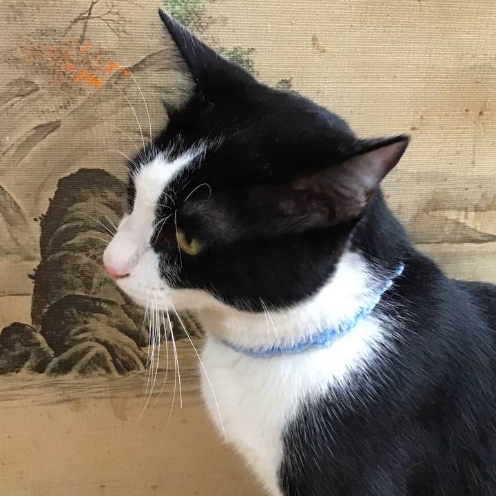 C62c5501 65f9 4336 a92f 2754ca3c04f1 1660041959894