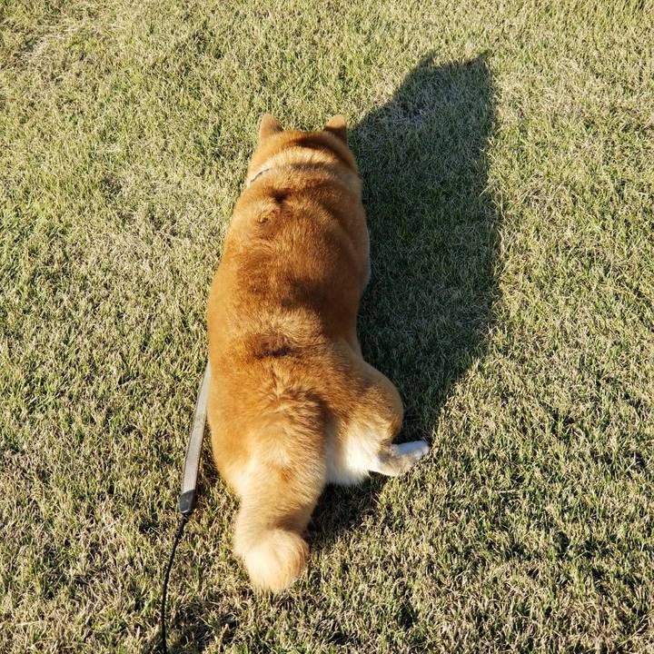 C62c6fa8 0131 4153 997d 8376e56f676f 1572244114838