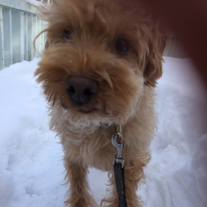 C62cb23d ef92 47d4 b37e 6efeb007131e 1521270433146