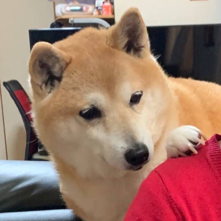 C62d1be7 a9d0 486d 98b0 38d2242ecbad 1586786844510