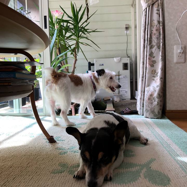 C62d30ba 6705 40b3 b21b 8202f89565e9 1534139340134