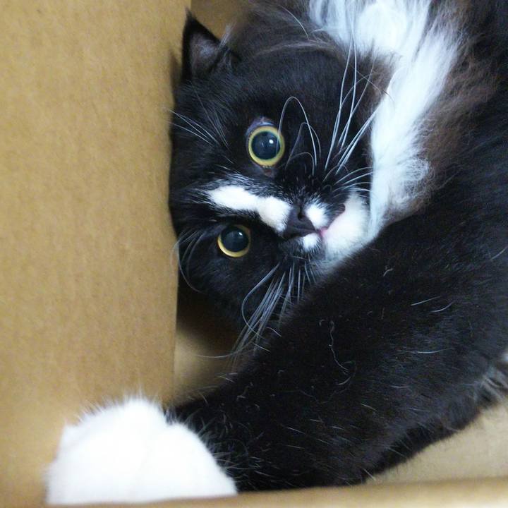 C62d37ea c306 48bf acdc bf52e7be3325 1661684028518