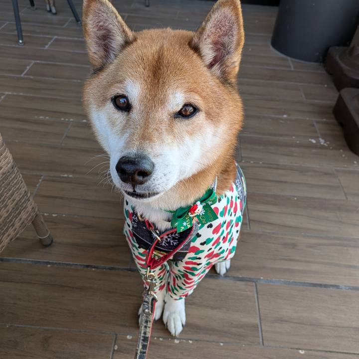 C62d6b99 f308 4c75 ac80 b77964429fe1 1733922760521