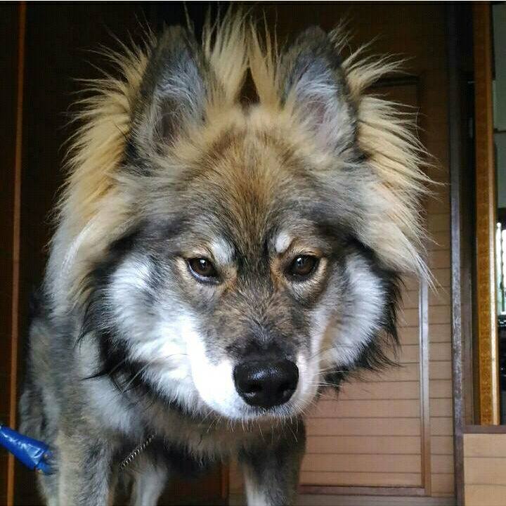 C62d8f1e 28b4 4e73 a9e8 a01645e6e692 1570205319139