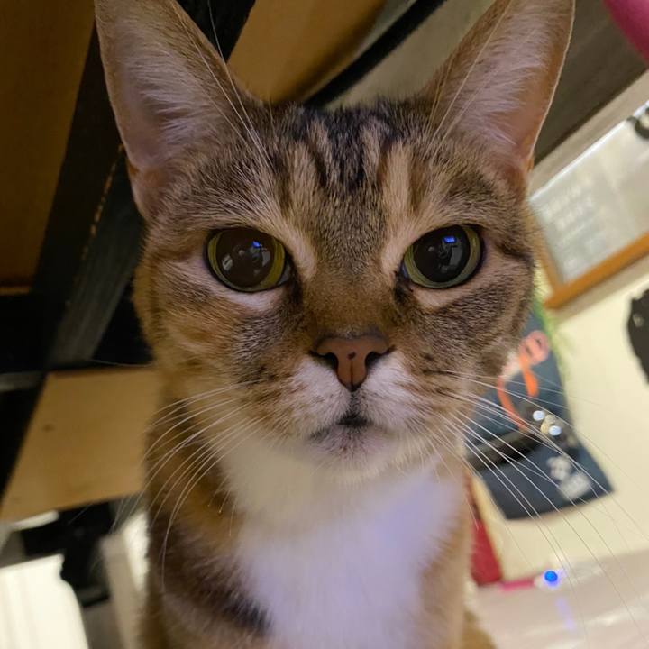 C62dd949 b46c 4026 ae56 5b66122d896c 1618507237924