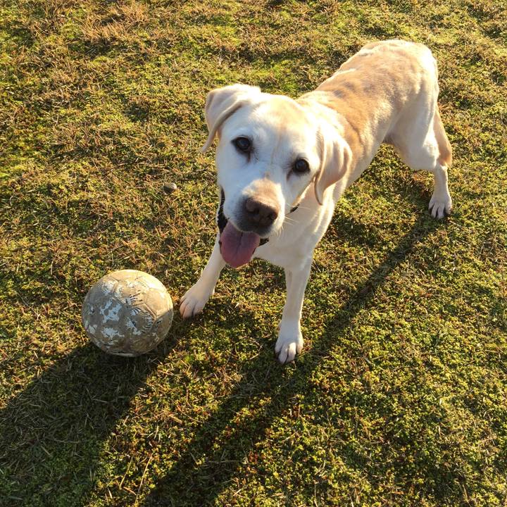 C62e1b19 9cd9 4320 ada8 9f4053912375 1618050479380