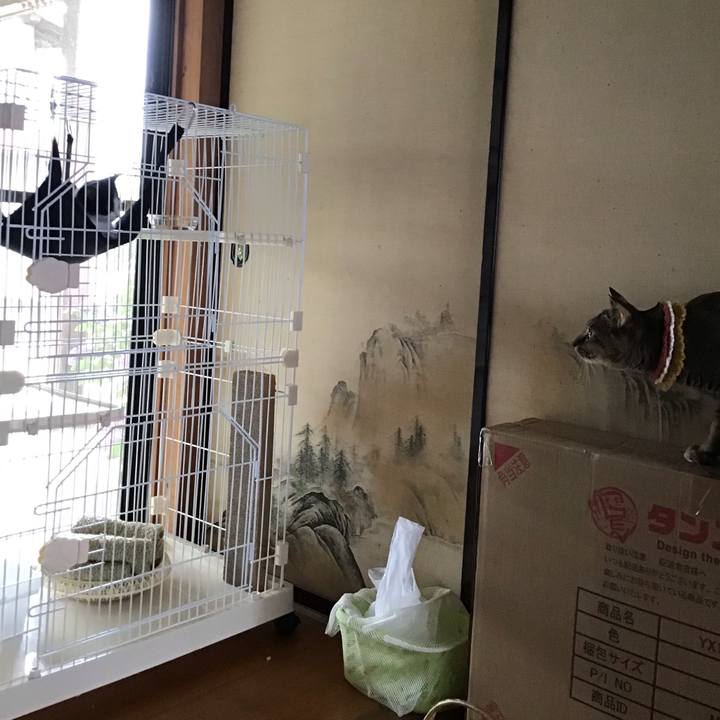 C62e259f ec57 4b9a 8715 2c254bcc6bed 1623653793106