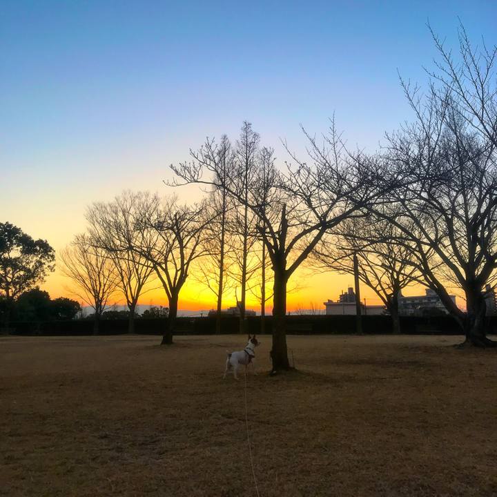 C62e4f72 a0ec 49e2 bc73 eeb6337a3b87 1517227528465