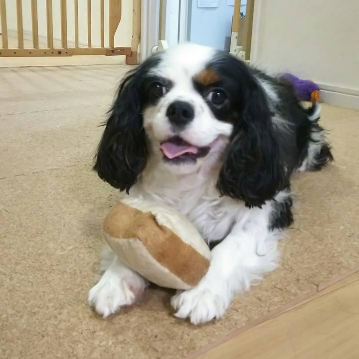 C62e7168 7053 4e07 b29a 7db8a61f9d8e 1534322981336