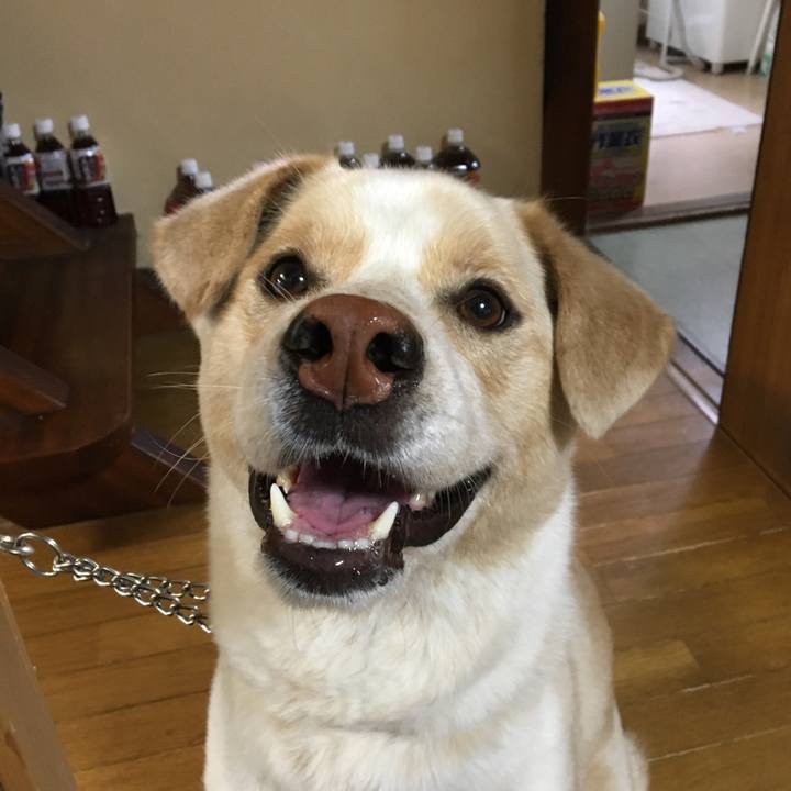 C62e8a25 4823 431a 81a2 ffbce15cfe83 1524645724293