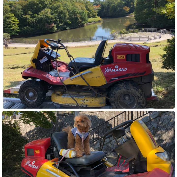 C62e9319 7bc5 49d3 aeac b4e0cbec3bf9 1539830688513