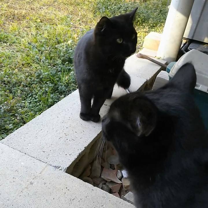 C62eb780 e853 4710 8fd3 d408b21ee029 1549097751946