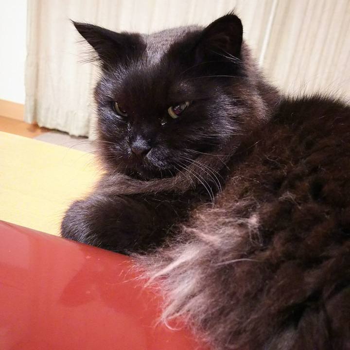 C62eb833 1348 43aa b8d2 3f6d02e616f4 1526901968490