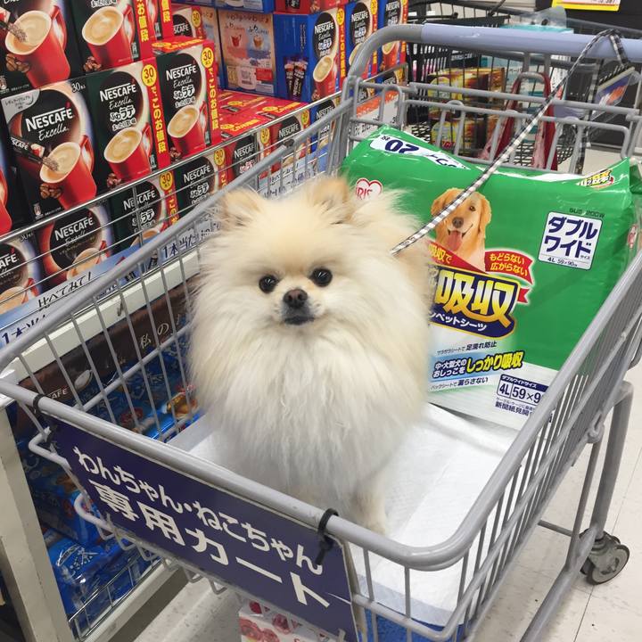 C62ebb14 6171 4f5e b535 54baec2a430b 1525678814591