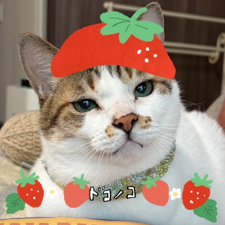 C62ec098 1d56 4f41 bf25 971d287df4e3 1775870441754