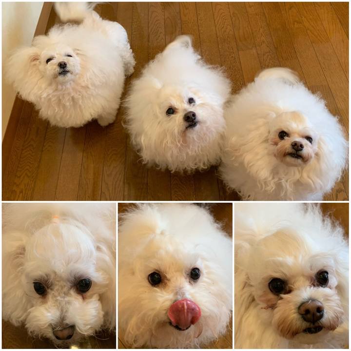 C62f29ce 4f67 40fd b22b 5a98a5e5d003 1581467301901