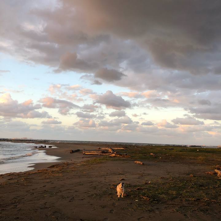 C62f4462 24e6 4c61 84af 4dffd71a7df0 1601972493990