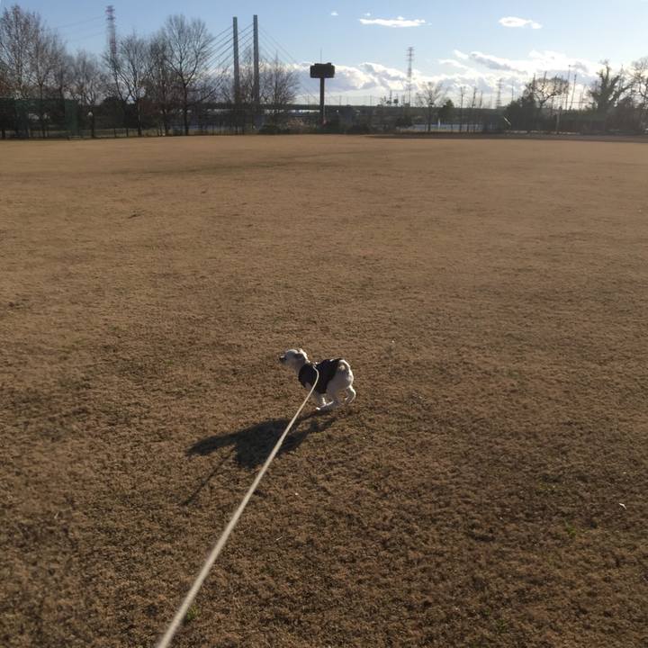 C62fa029 cc21 42cc befa 0e8a7c539972 1546162197014