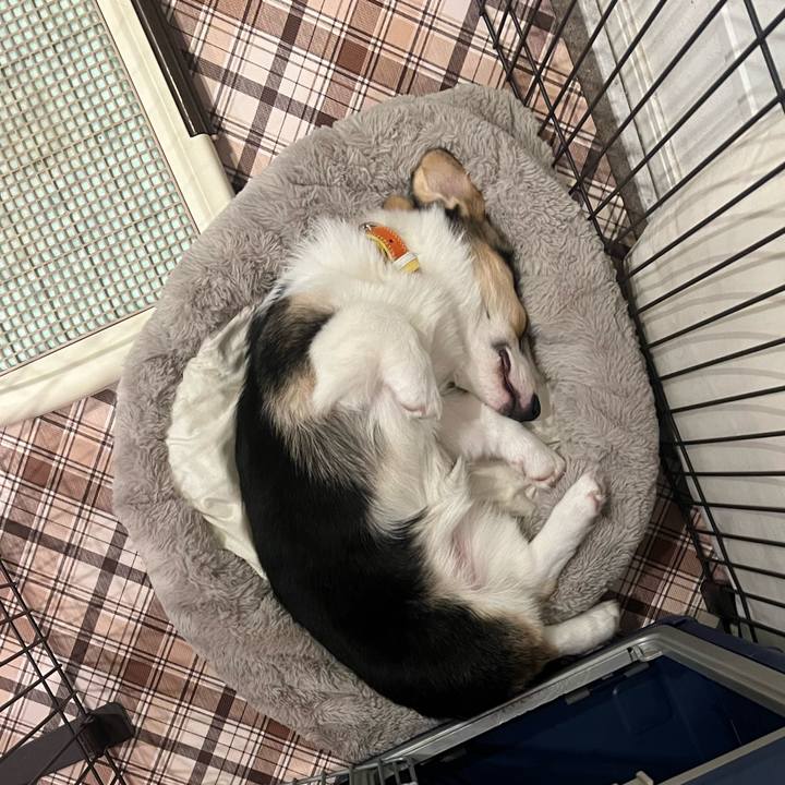 C62fa1a7 61b0 4967 a7a0 350792e65831 1774580776246