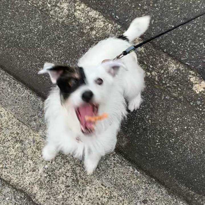 C62fb09d 45cd 4e93 9320 ff7650f03daa 1658445596646