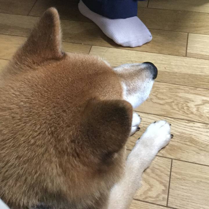 C62fd7c1 6982 49d3 a175 af4f0b2875e7 1593828808083