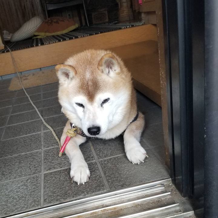 C62ff076 311d 4f8e a691 9ae9762cfb1b 1731368895853