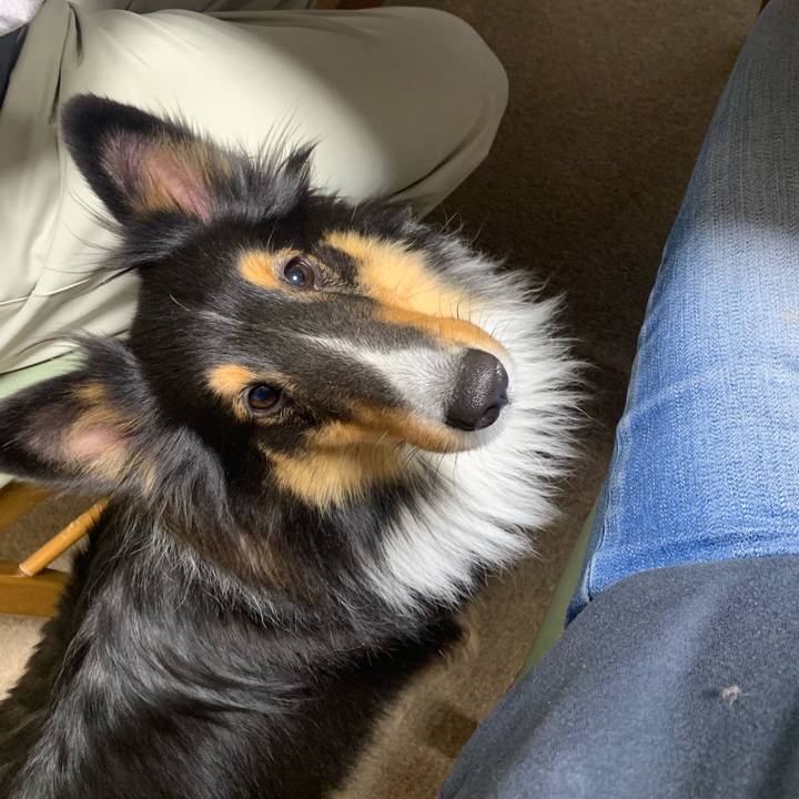 C6300f34 adb2 4d90 b8fe 37384d260888 1576187274422