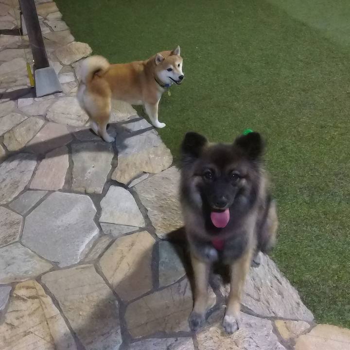 C63065a8 bb6d 437d 87ae 9641e69c8a68 1760267878590