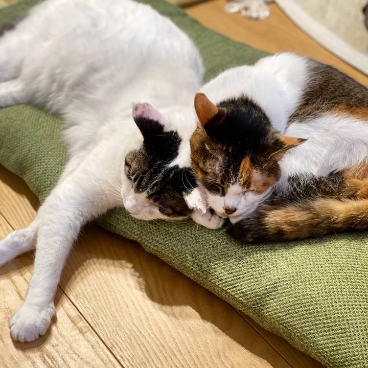 C630cdbf 50ed 42f2 afde 5e967a1fceb8 1673255318674