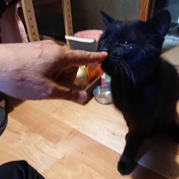 C630e34b d91e 40dc 9d22 69d5c5ce9a54 1625574081203