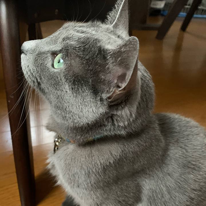 C630eb0f 4ae8 433e bd6d 782b7307822d 1677711729785