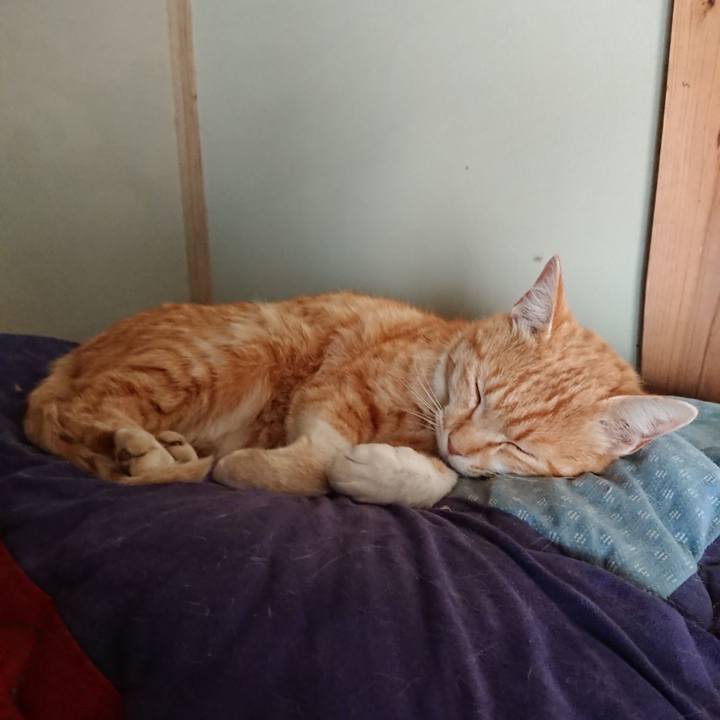 C6310f88 2973 4c6b a95c d8396e235961 1588197095030