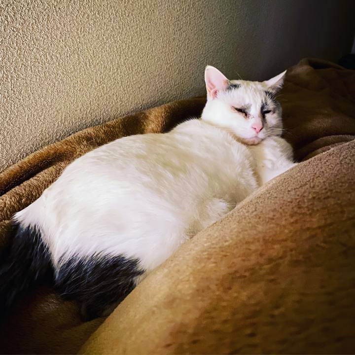 C6312a0d e99d 4356 b181 1f568b530f22 1588181761332