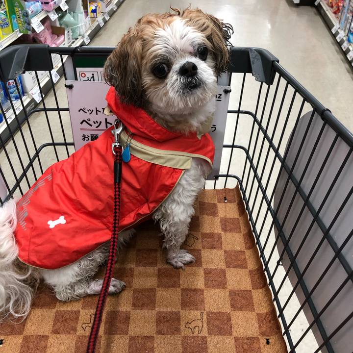 C63135fd 4fac 4df0 bfaa 2ac3d41ba693 1560646050425