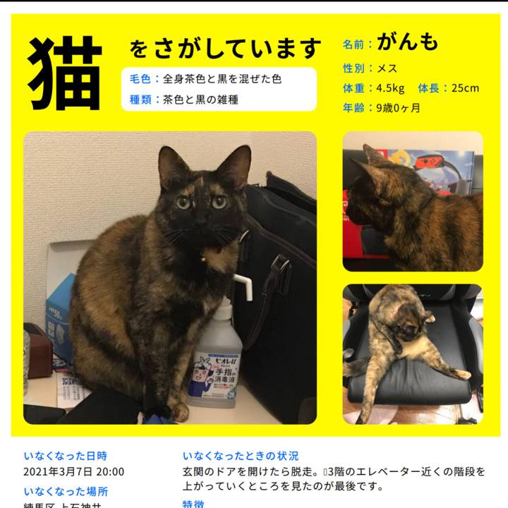 C6314453 aa3f 4166 9757 10fb93c2a712 1615177827388