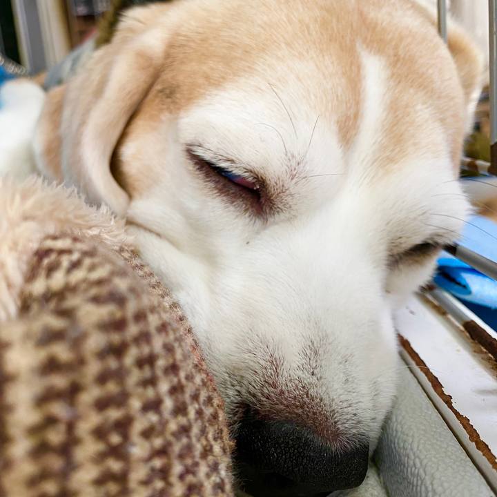 C63199a9 2669 4d01 9169 9be4f55642d0 1589516056389