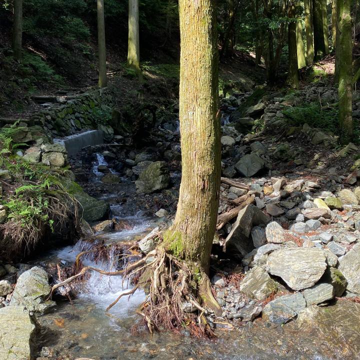 C631c8a2 9672 4051 8d5c b6e49f00f6d7 1656324528224