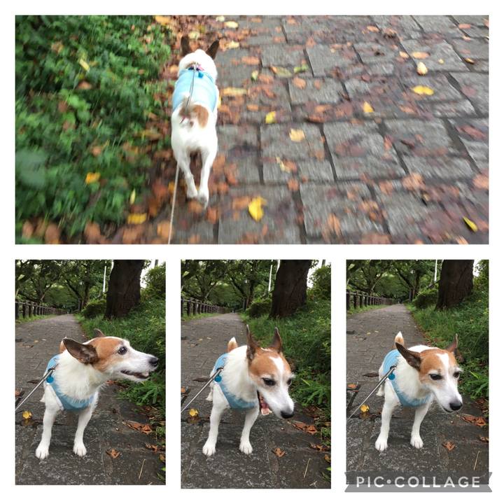 C631daa2 9ebd 450e b22a c0a76c24bc5b 1661813923200