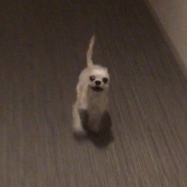 C631e7b1 6991 479f 9665 61759c23586d 1550763600558