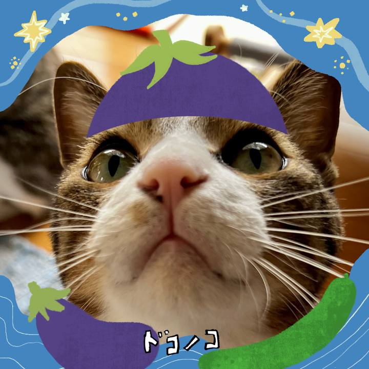 C6321b3b 9ad3 4833 9c1e 2ae765c47aec 1755236772007