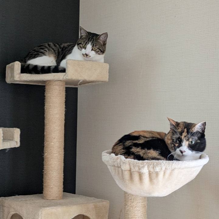 C6323697 2c6c 4725 8b2a 29faed5beba4 1749454190793