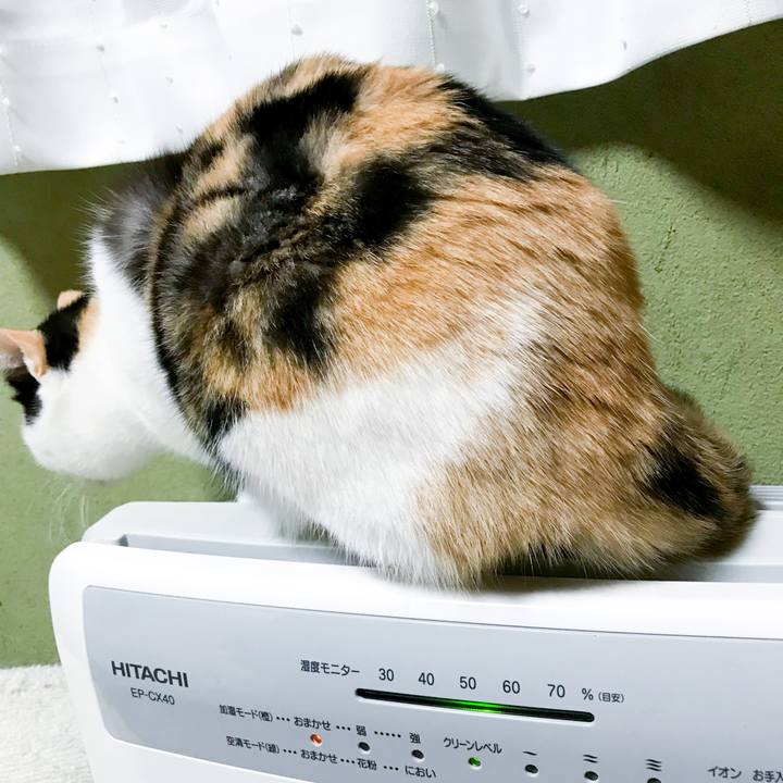 C6324675 efdb 4e64 a42d e2dd330e2a68 1515023567870