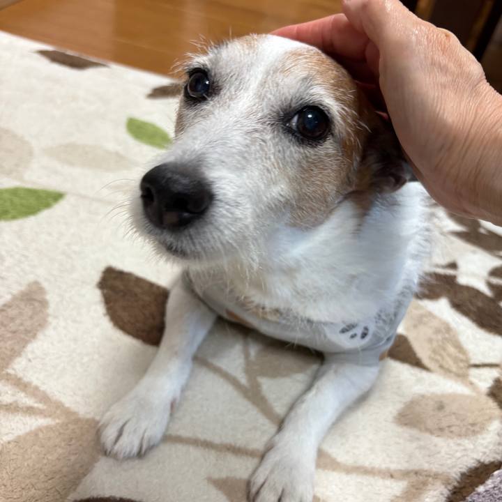 C6326df3 15a6 4873 b7c5 6cb3b14478d1 1753831311610