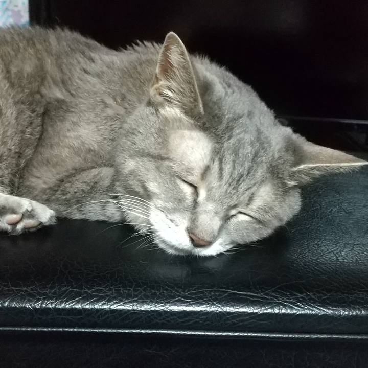 C63289c7 328c 4eb2 902b 28cd74cfbe0b 1695384021071