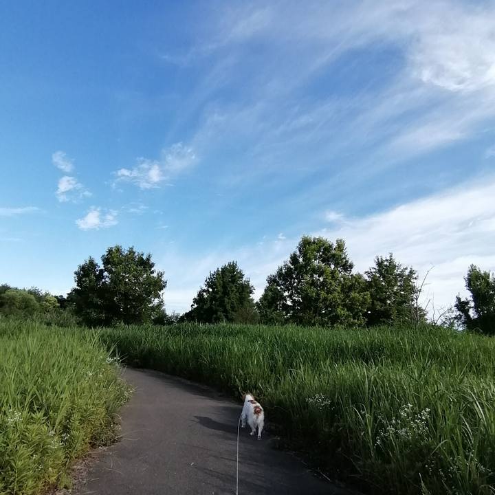 C63291b6 010d 4243 ae76 adde716a3ee3 1592351919595