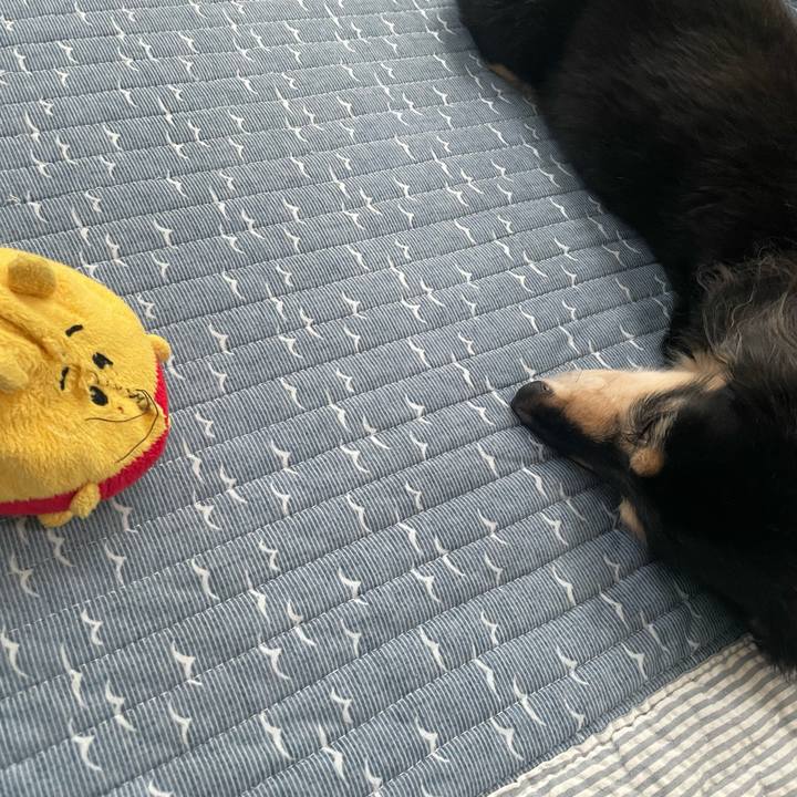 C6329b69 4671 4588 92a0 1042d4dbce2c 1693241252351